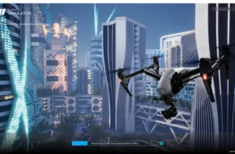 dji flight simulator